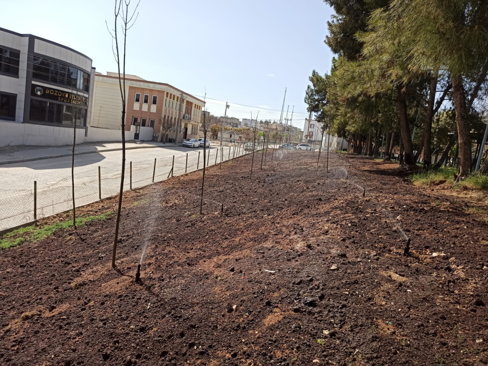 Şanlıurfa/Bozova