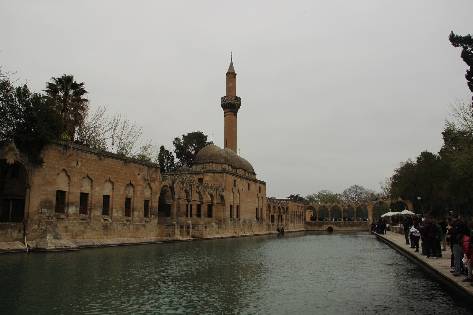 Şanlıurfa’dan yaşam kareleri