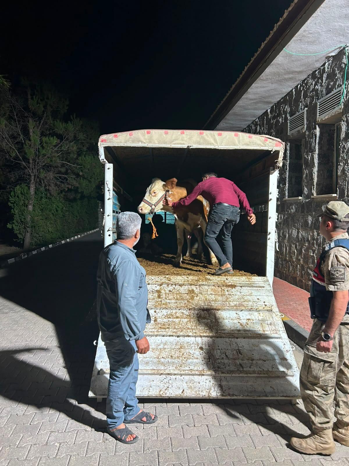 Şanlıurfa’da Hayvan Yetiştiricisini Dolandıran Şüpheli Yakalandı - 2
