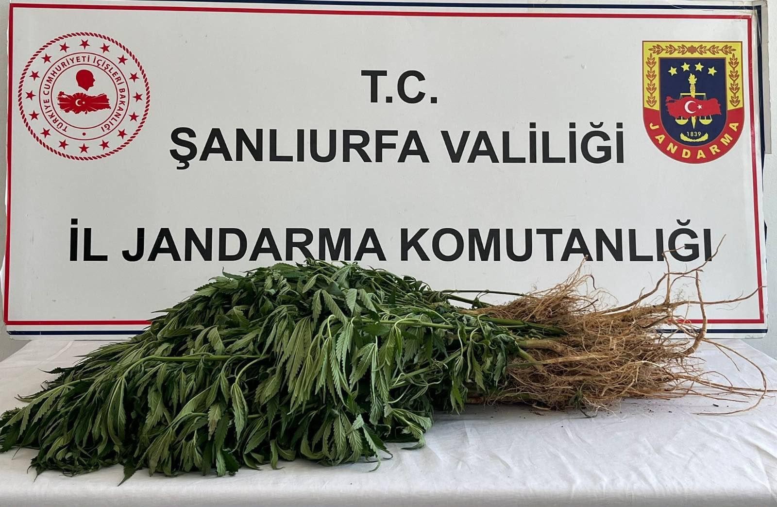 Jandarmadan 3 İlçede Narkotik Operasyonu: 5 Şüpheli Yakalandı - 3