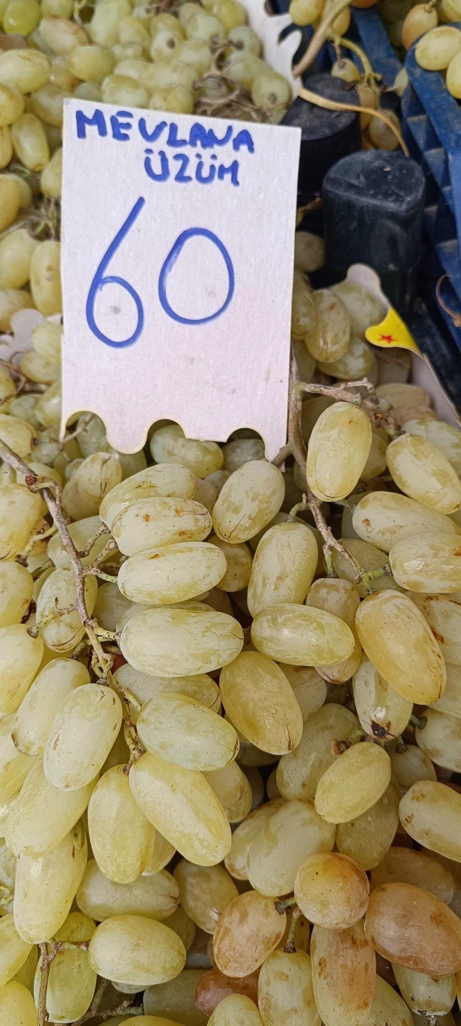 Şanlıurfa’da Güncel Manav Fiyatları: Hurma 50 TL, Elma 45 TL! - 7