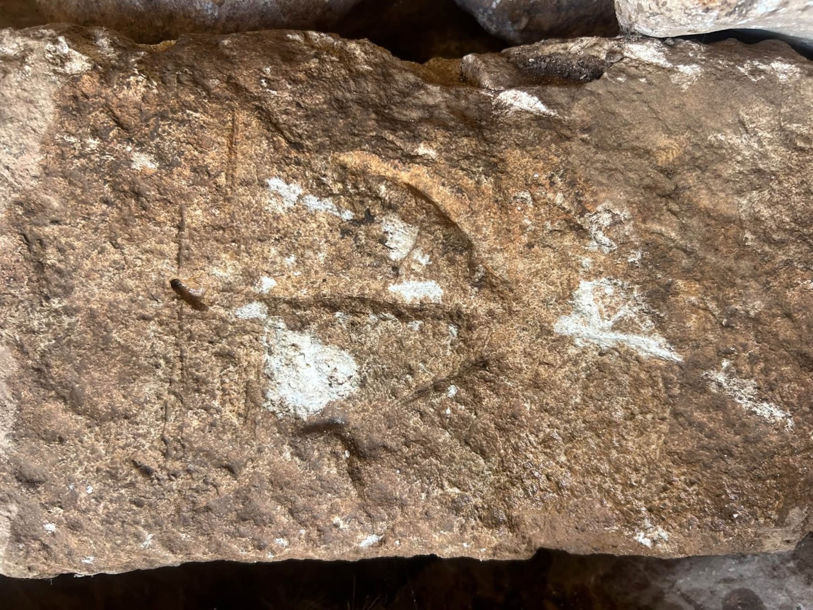 Şanlıurfa’nın Tarihî Hazinesi: Dağyanı Harabeleri ve Mağaraları - 13