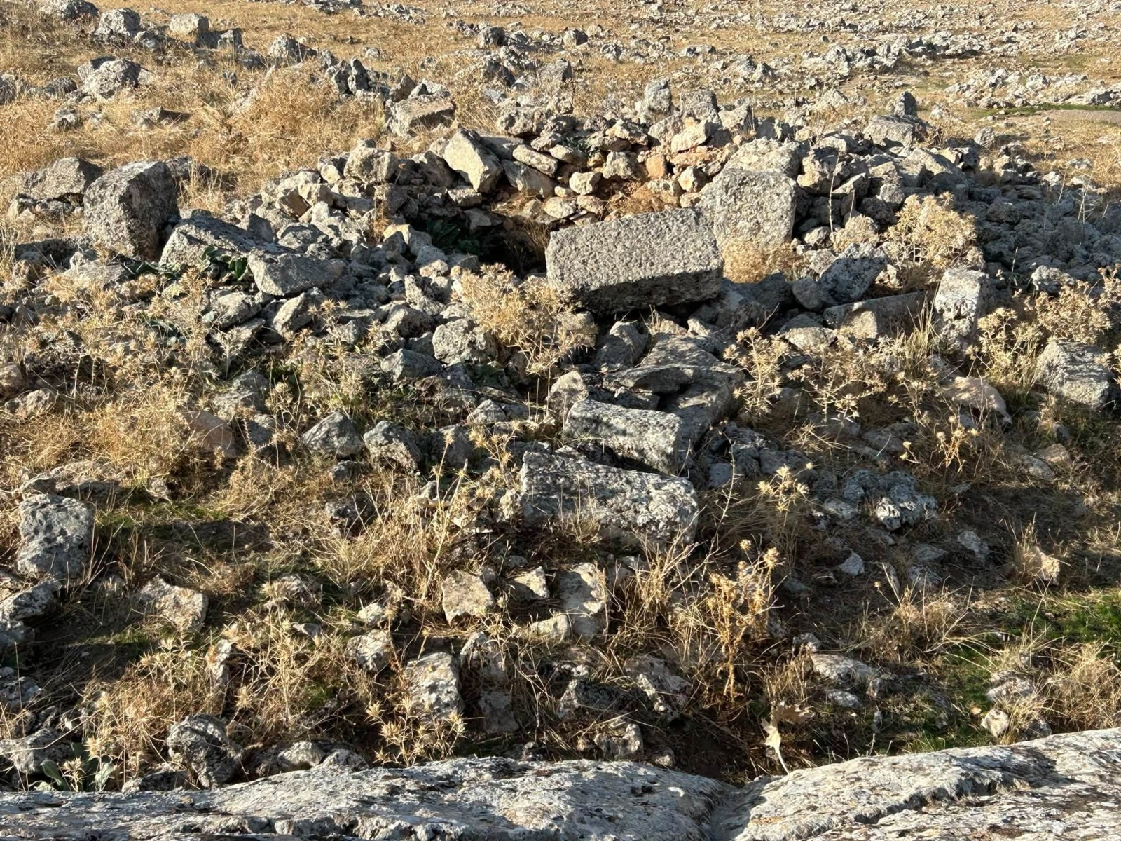 Şanlıurfa’nın Tarihî Hazinesi: Dağyanı Harabeleri ve Mağaraları - 20