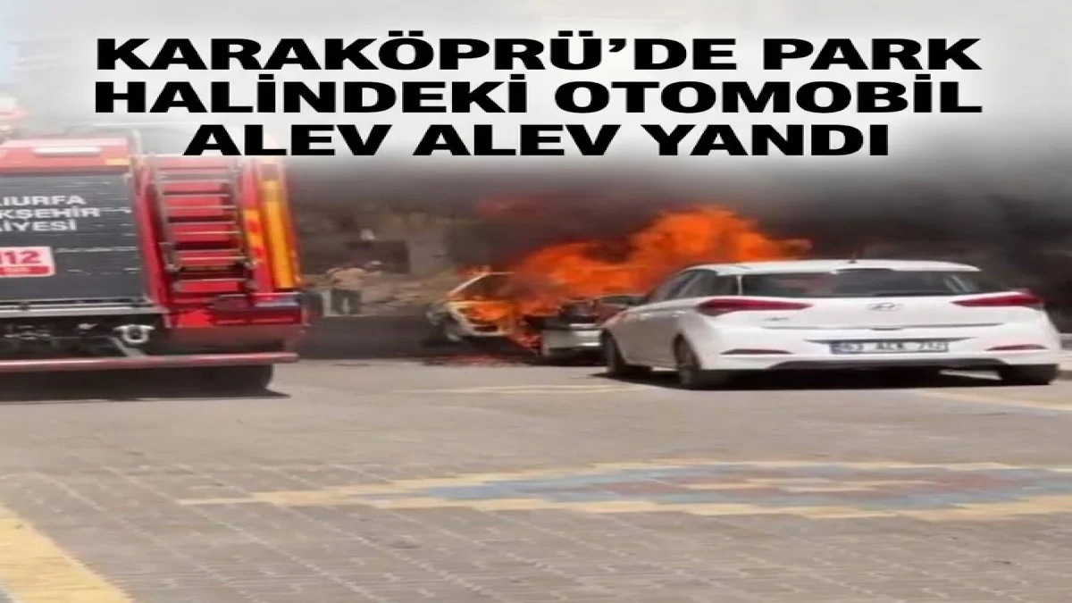 Karaköprü'de Park Halindeki Otomobil Alev Alev Yandı