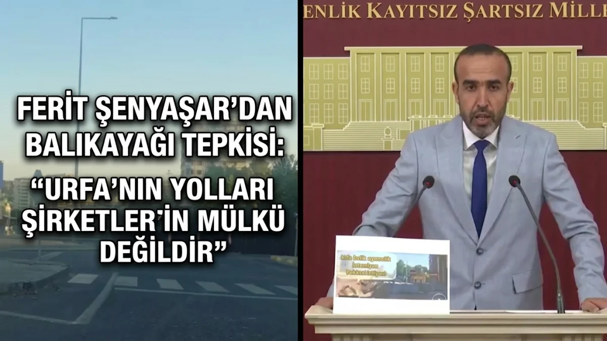 DEM Parti Urfa Milletvekili Ferit Şenyaşar’dan Balıkayağı Tepkisi: "Urfa’nın Yolları Şirketlerin Mülkü Değildir"
