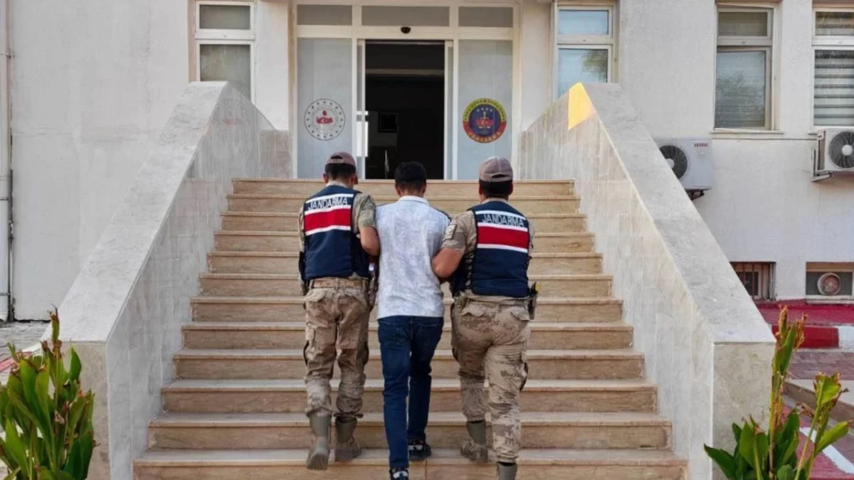 Akçakale’de Aranan Dolandırıcı Jandarmadan Kaçamadı