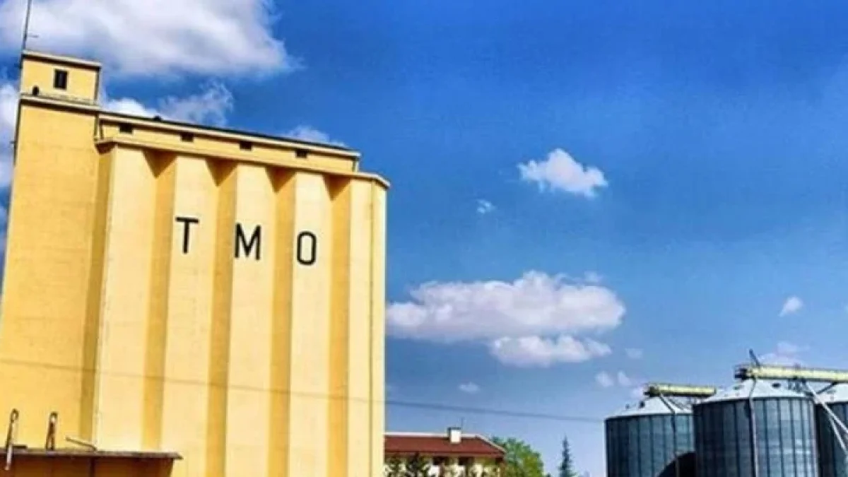 Şanlıurfa TMO’dan Arpa Satışı: Satışlar 17 Eylül’de Başladı
