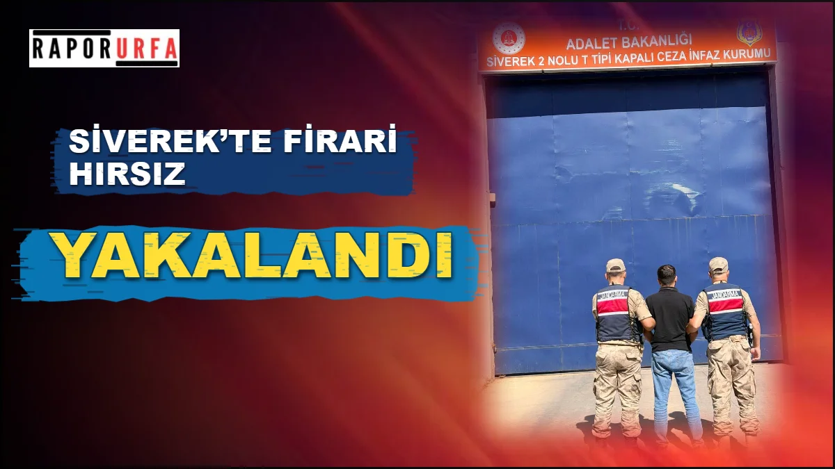 Siverek’te Firari Hırsız JASAT’tan Kaçamadı: 22 Yıl Hapis Cezası Olan Şahıs Yakalandı