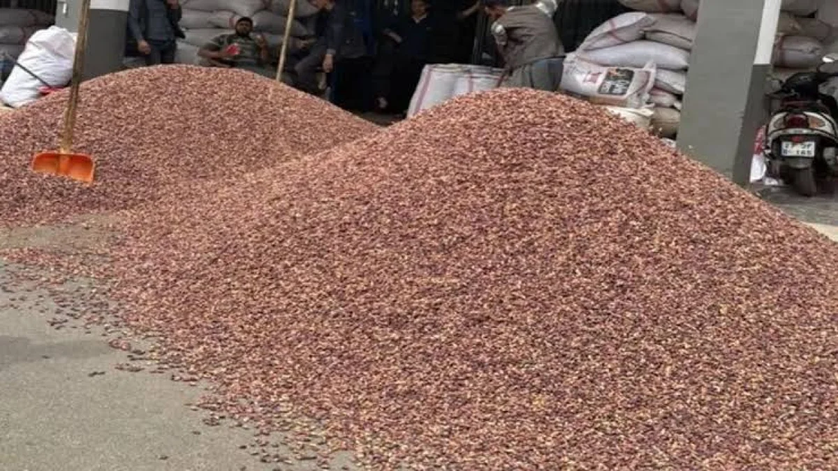 Ucuz Urfa fıstığı nereden alınır?