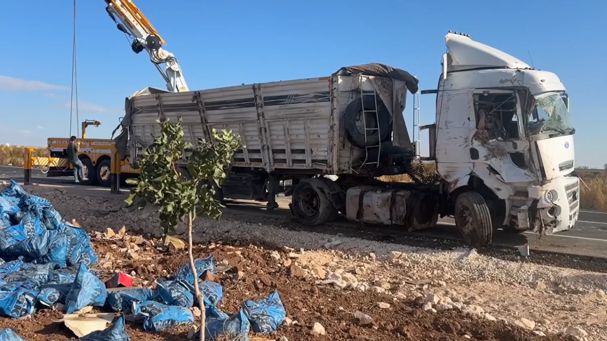 Suruç Yolunda Kaza: Kömür Yüklü Tır Devrildi, Sürücü Yaralı