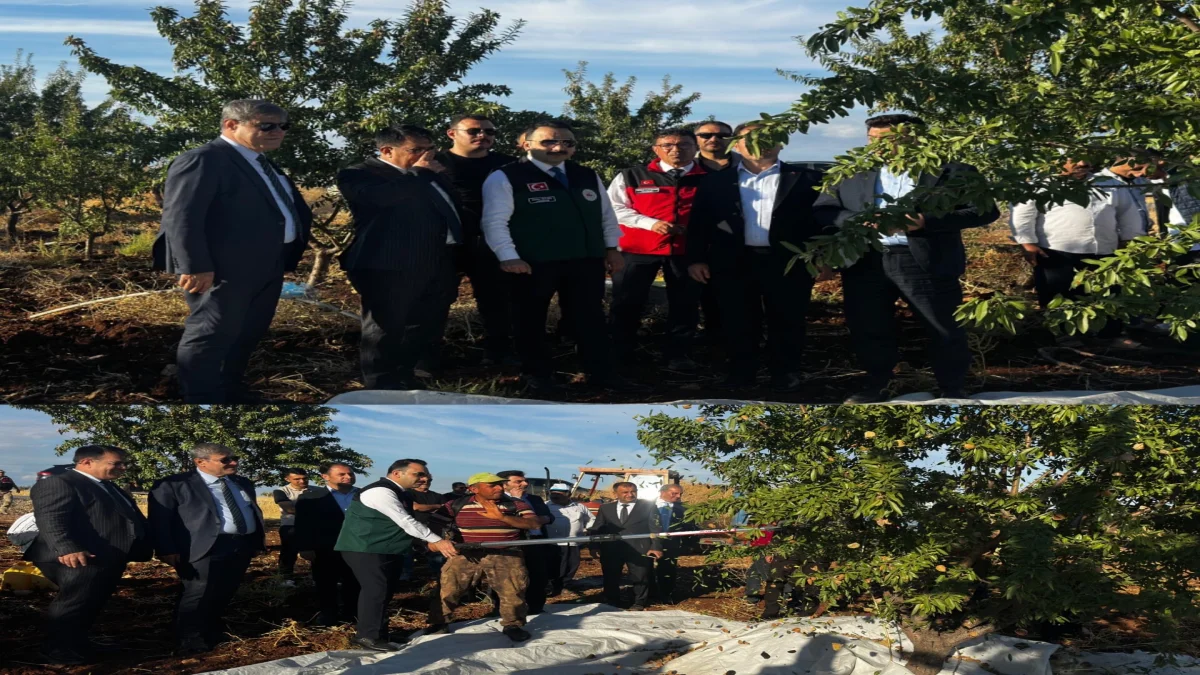 Hilvan Badem Festivali’nde geceye Mahmut Tuncer damga vurdu