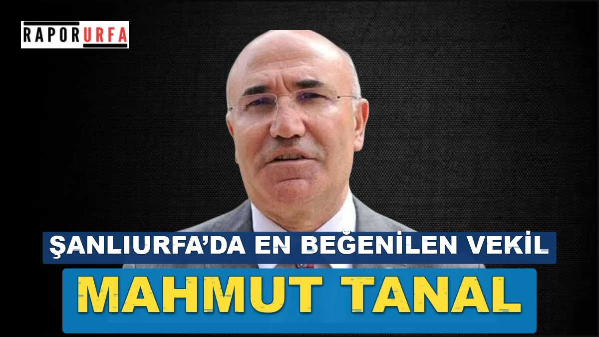 Şanlıurfa’da en beğenilen vekil Mahmut Tanal oldu