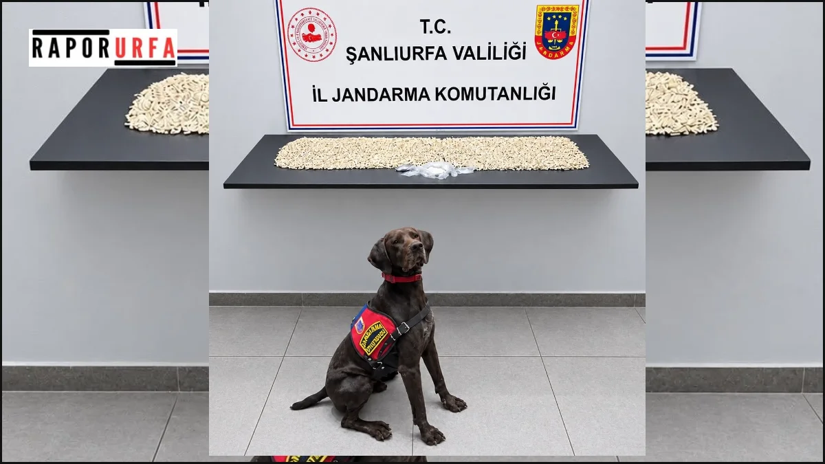 Eyyübiye’de uyuşturucu operasyonu: 14 bin 410 Captagon ele geçirildi