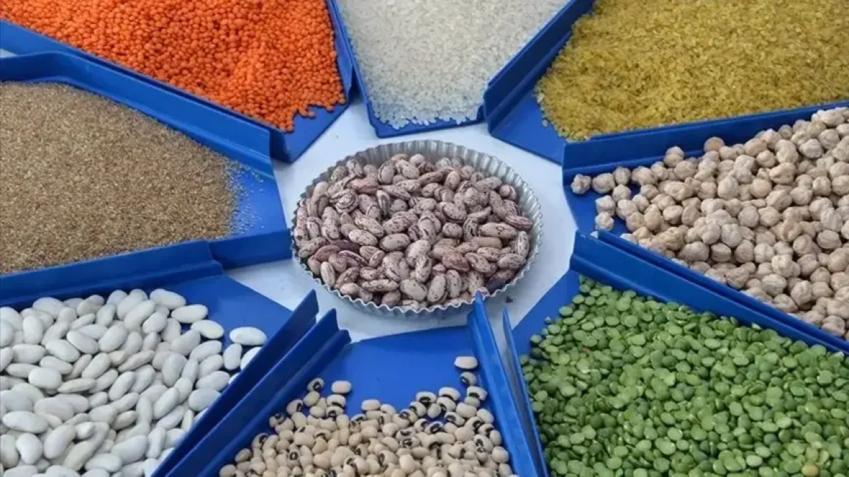 Şanlıurfa’da hububat fiyatları belli oldu: Mercimek 48 bin TL
