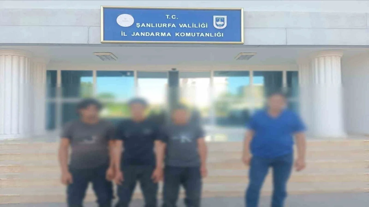 Şanlıurfa'da Jandarma Operasyonu: 9 Göçmen Kaçakçısı Yakalandı