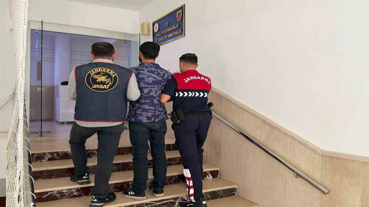 Haliliye'de Bilişim Hırsızlığı Hükümlüsü Yakalandı