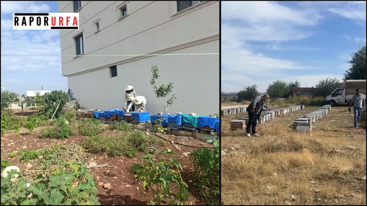Arılı Kovan Desteği İçin Denetimler Gerçekleştirildi