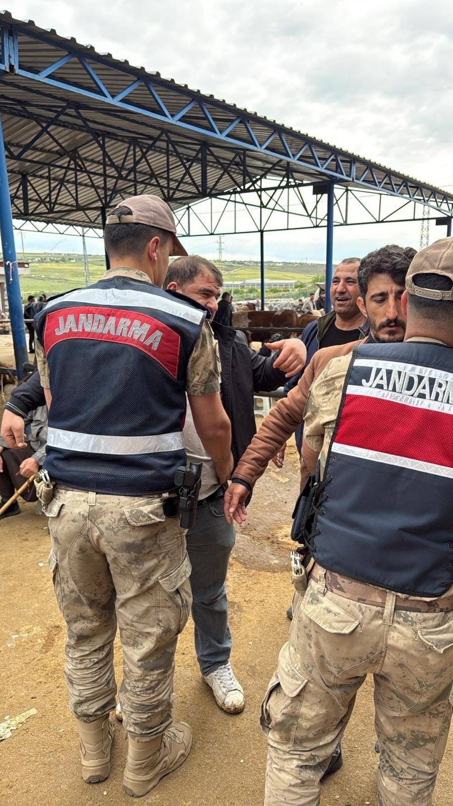 Şanlıurfa'da Jandarmadan Hayvan Pazarlarında "Huzur ve Güven" Mesaisi