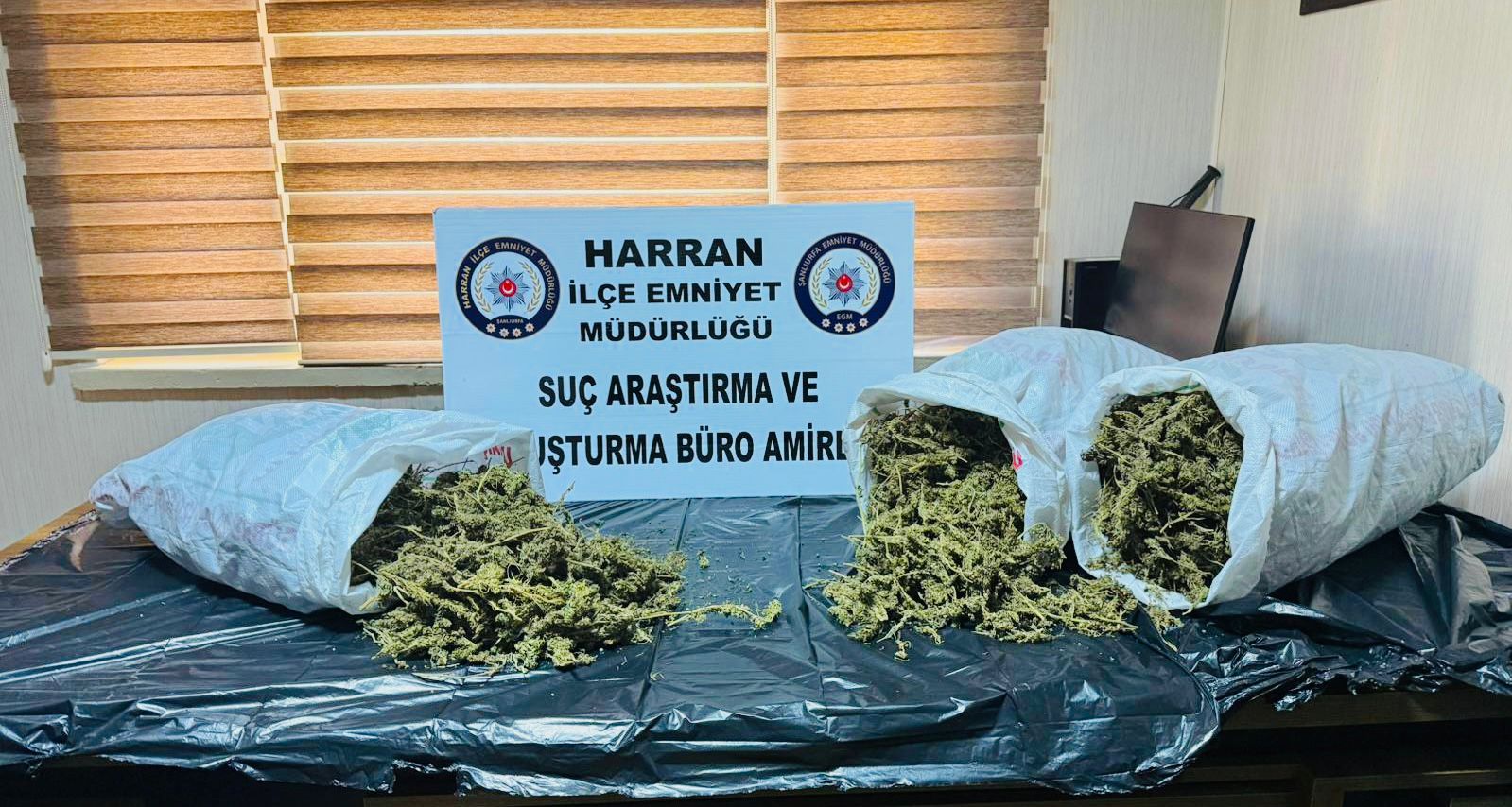 Harran’da Zehir Tacirlerine Darbe: 8 Kilo Esrar Ele Geçirildi!