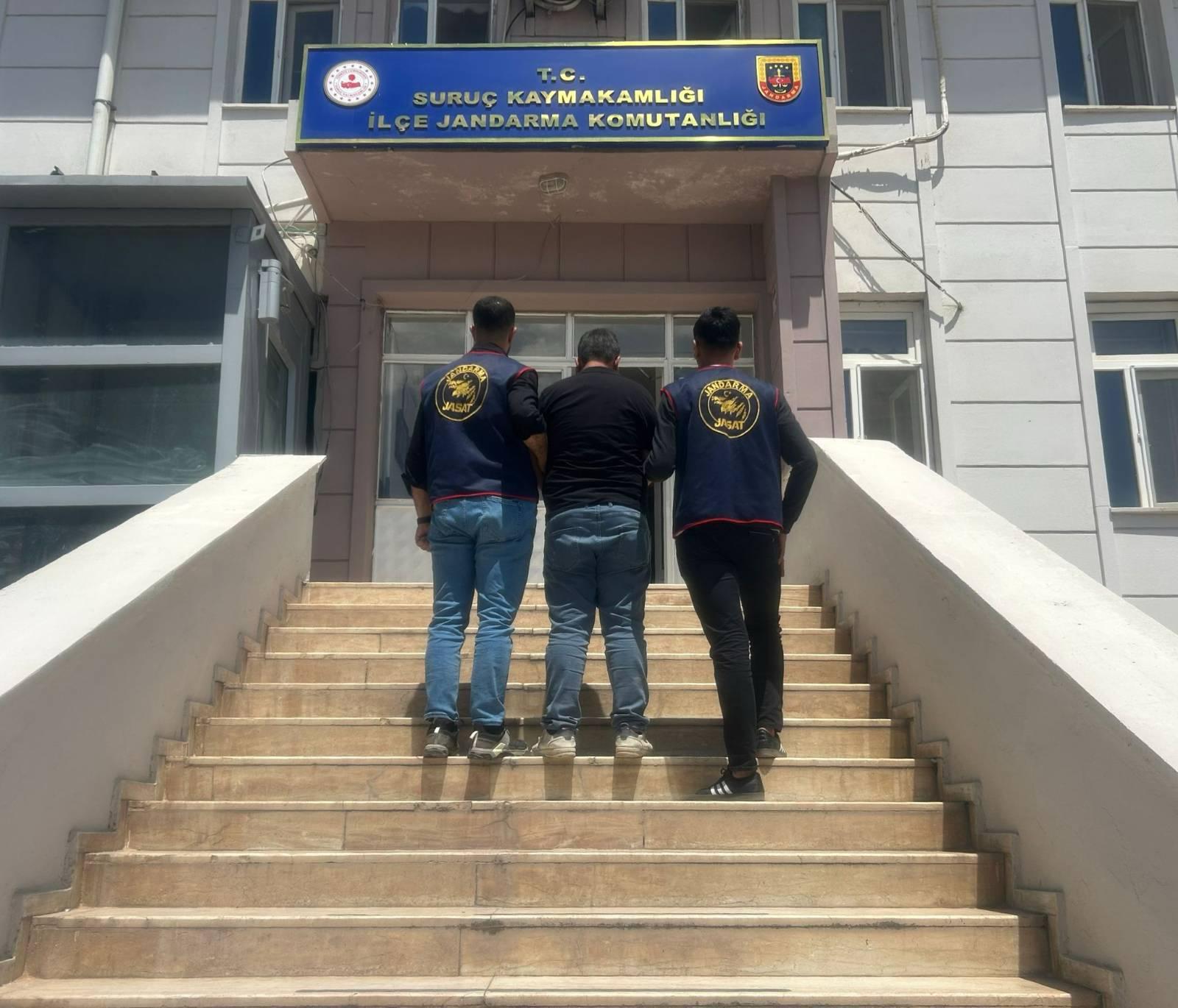 Suruç'ta Jandarmadan Kaçamadı: Dolandırıcılık Firarisi Yakalandı