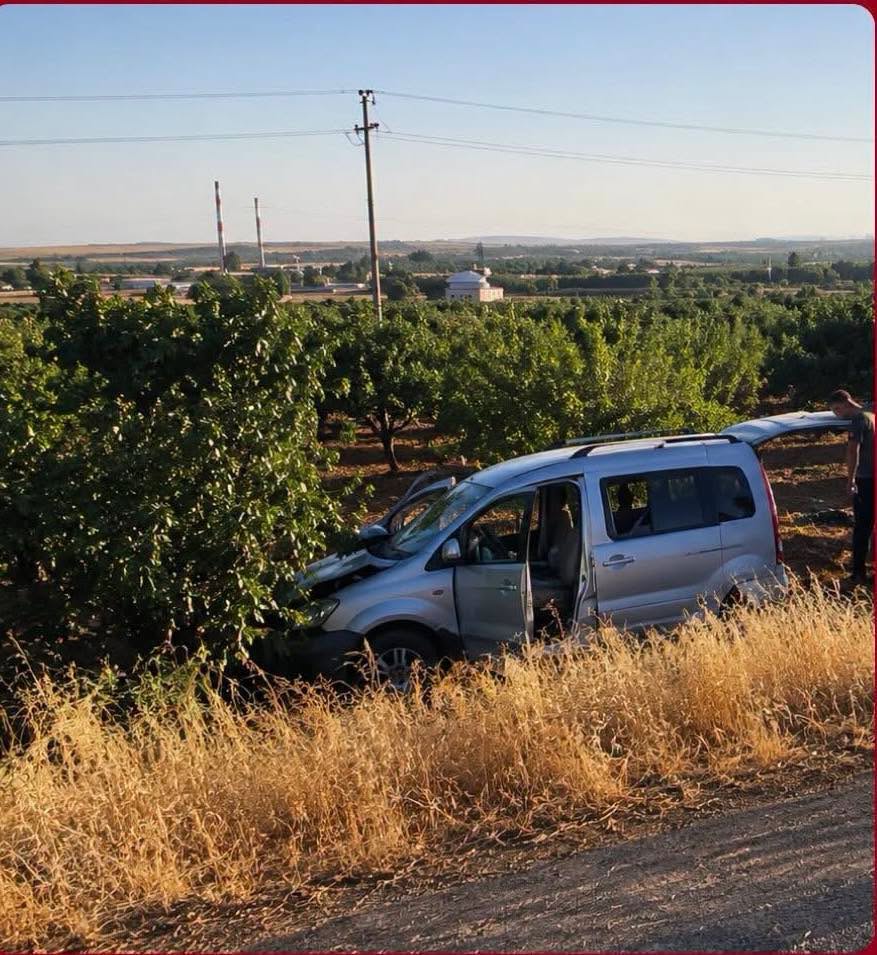 Bozova’da Otomobil Fıstık Tarlasına Uçtu: 10 Yaralı!