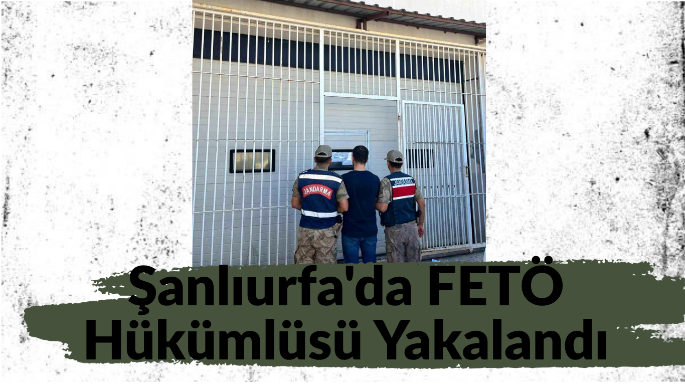 Şanlıurfa'da FETÖ Hükümlüsü Yakalandı