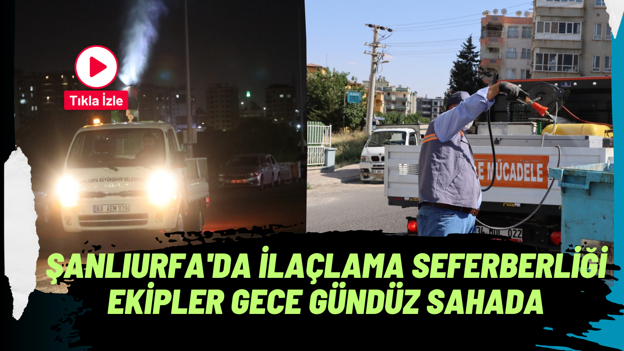 ŞANLIURFA'DA İLAÇLAMA SEFERBERLİĞİ EKİPLER GECE GÜNDÜZ SAHADA
