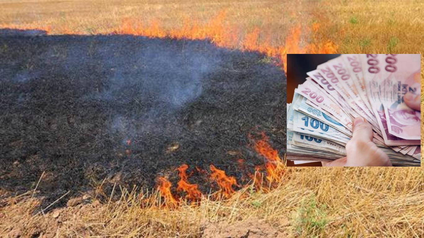 Şanlıurfa'da Anız Yakan 303 Kişiye 21,2 Milyon TL Ceza