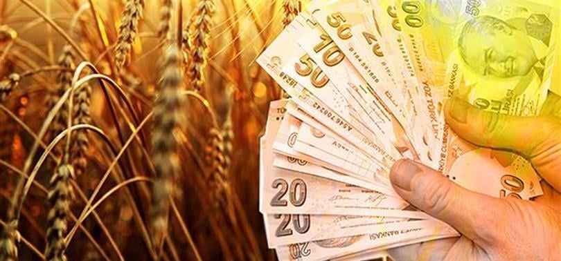 TMO’dan Şanlıurfalı Hububat Üreticisine Büyük Destek: Yaklaşık 15 Milyar TL Hesaplara Aktarıldı