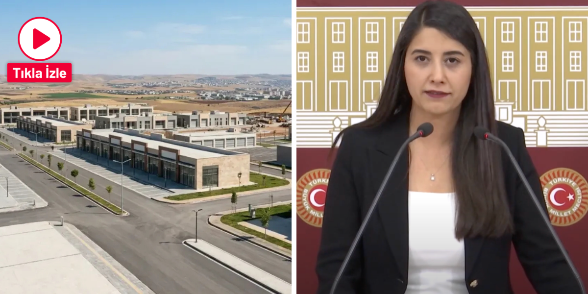 DEM Partili Dilek Öztürk Kunt’tan Meclis’te Ceylanpınar Çağrısı: "OSB Gecikmeden Yapılmalıdır!"