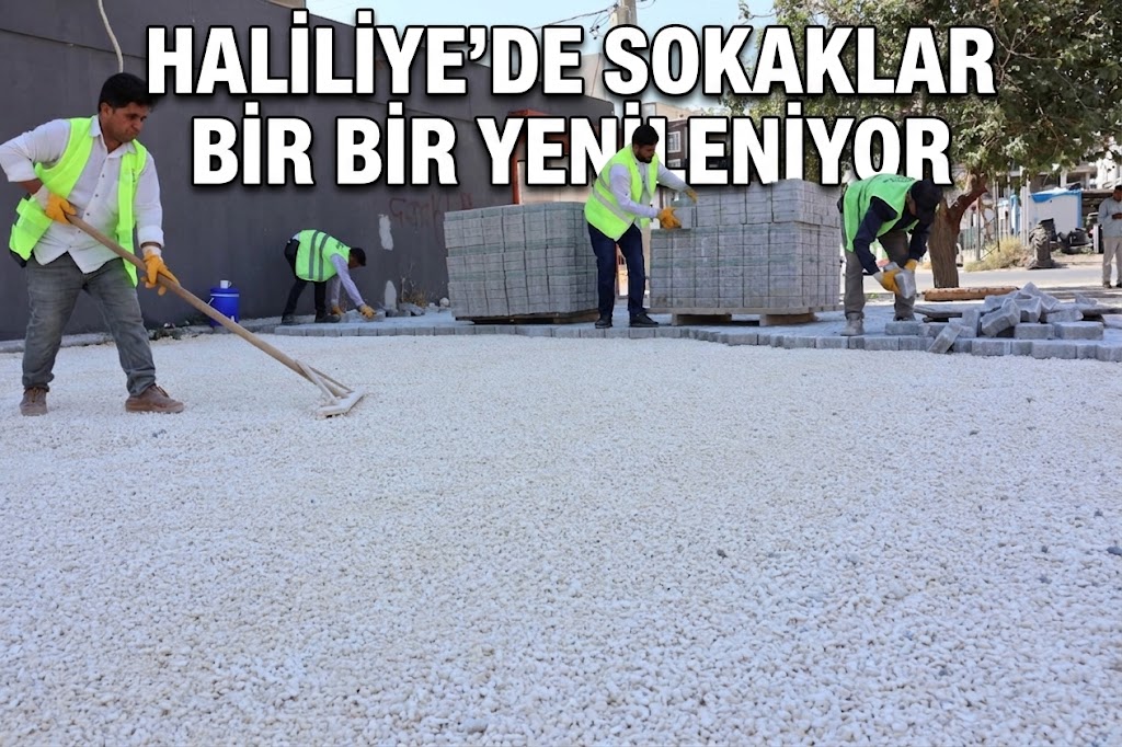 HALİLİYE’DE SOKAKLAR BİR BİR YENİLENİYOR