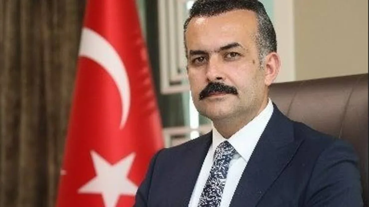 MithatCan Kutluca Kimdir