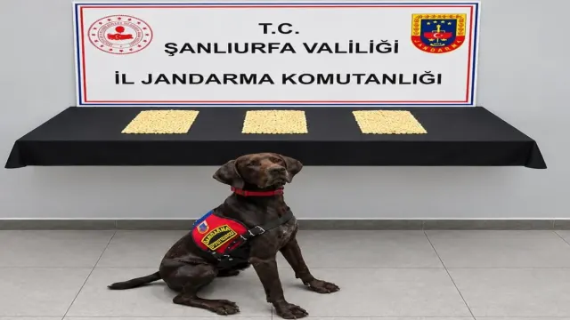 Şanlıurfa’da uyuşturucu operasyonu: 2 bin 970 Captagon hap ele geçirildi