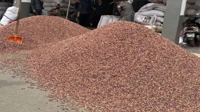 Ucuz Urfa fıstığı nereden alınır?