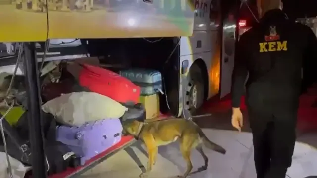Şanlıurfa’da otobüste 16 kilo 400 gram skunk ele geçirildi
