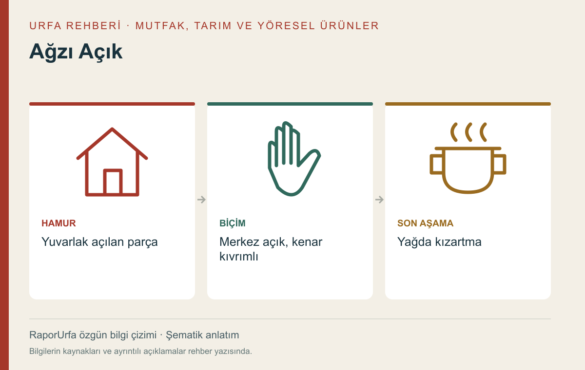 Ağzı Açık — kaynaklı şematik bilgi görseli