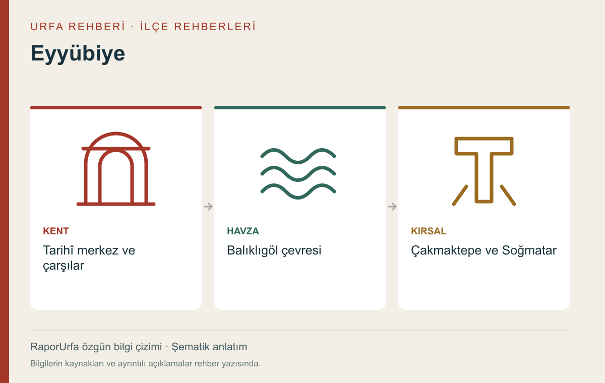 Eyyübiye — kaynaklı şematik bilgi görseli