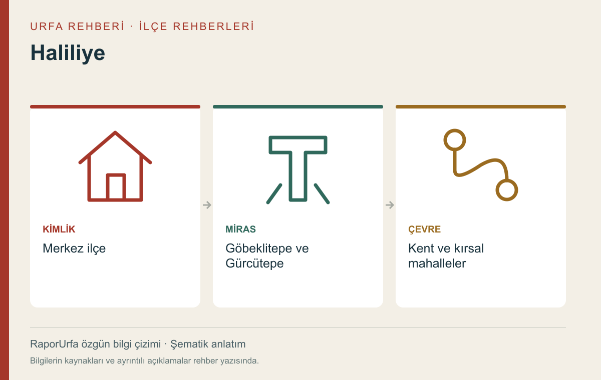 Haliliye — kaynaklı şematik bilgi görseli