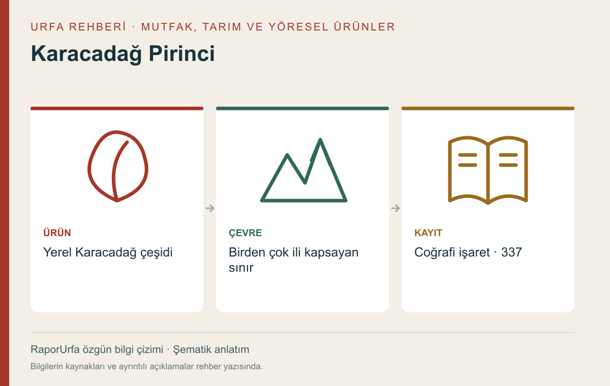 Karacadağ Pirinci — kaynaklı şematik bilgi görseli