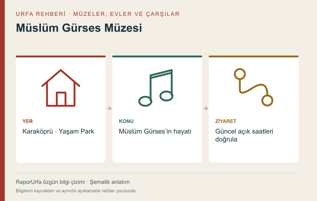 Müslüm Gürses Müzesi — kaynaklı şematik bilgi görseli