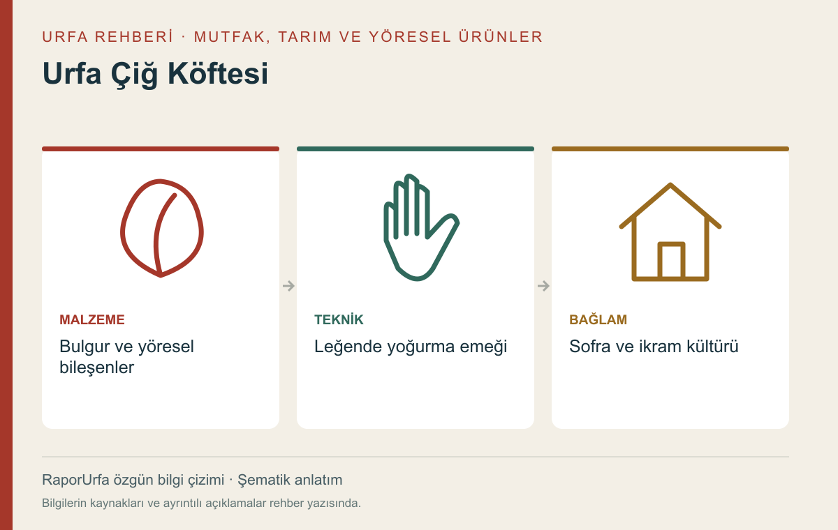 Urfa Çiğ Köftesi — kaynaklı şematik bilgi görseli